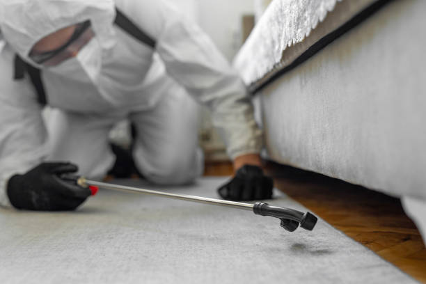Professional Bed Bug Control technician working in St. Tammany Parish County, LA